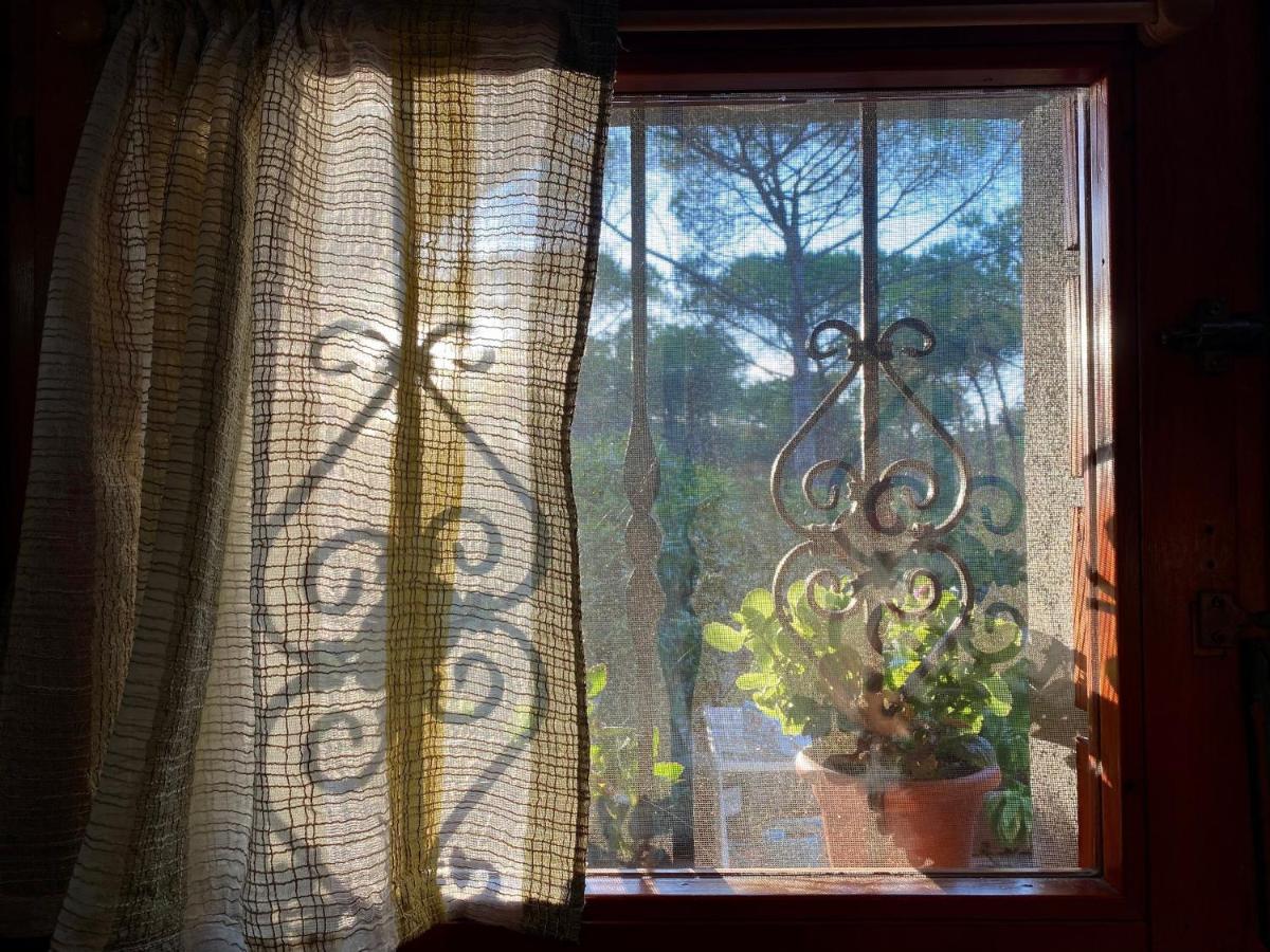 Апартаменты All'Ombra Dei Pini - Casa Vacanze Pet Friendly Marina di Sorso Экстерьер фото